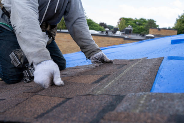 Best Cold Roofs  in South Charleston, OH